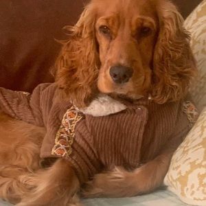 Meet your Posher, Jancey